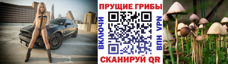 Галлюциногенные грибы прущие грибы  Шагонар 